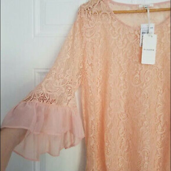 ✨Pleione Lace bell sleeve top✨ - Picture 4 of 6